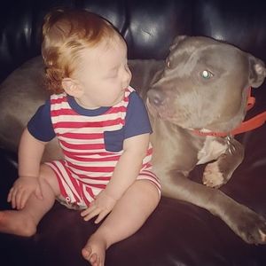 Meet your Posher, Randy